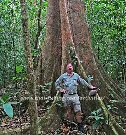 Hikking, Cheow Lan Lake Khao Sok Day Tours