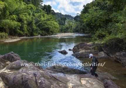 Jungle Trekking, Cheow Lan Lake Day Tours