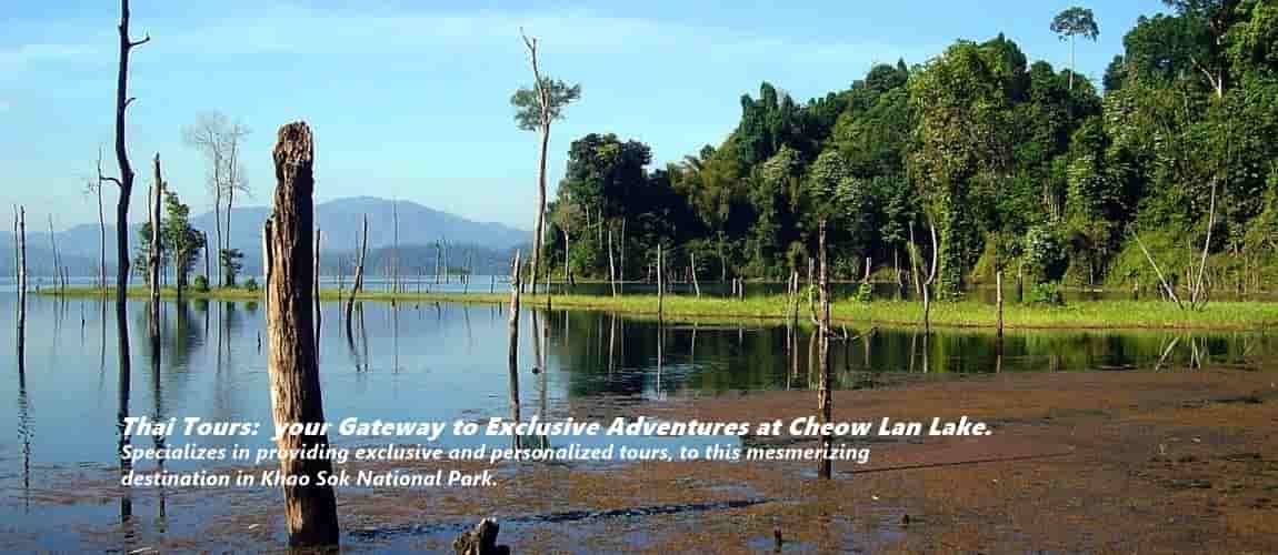 Cheow Lan Lake - Turdestination