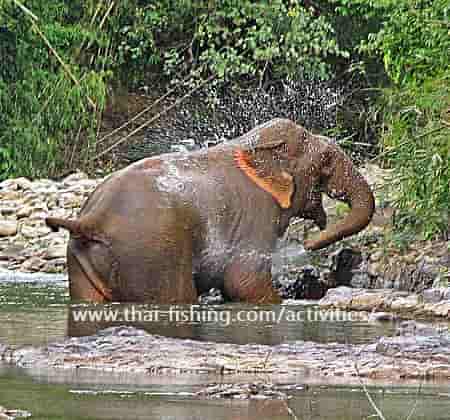 Cheow Lan Lake i Khao Sok Som Turdestination
