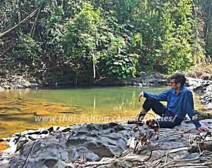 Jungle flode ved Cheow Lan Søen 