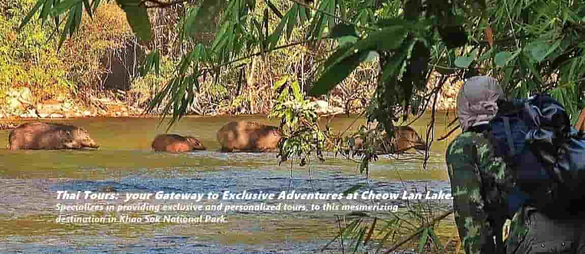 Khao Sok vandreture ved Cheow Lan Søen