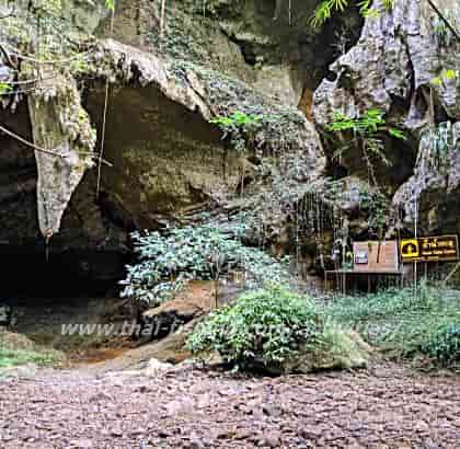 Jungle trekking to Nam Ta Lu Cave near Cheow Lan Lake