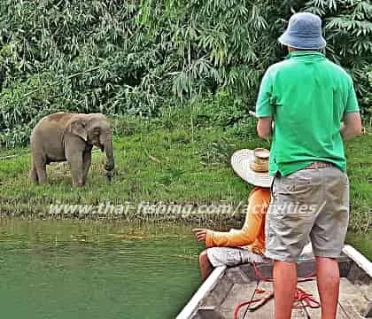 Wildlife Watching Tour (2 Days 1 Night)