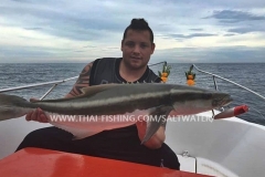 Cobia Fishing Khao Lak