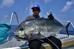 Giant Trevally Fishing Similan Islands Thailand