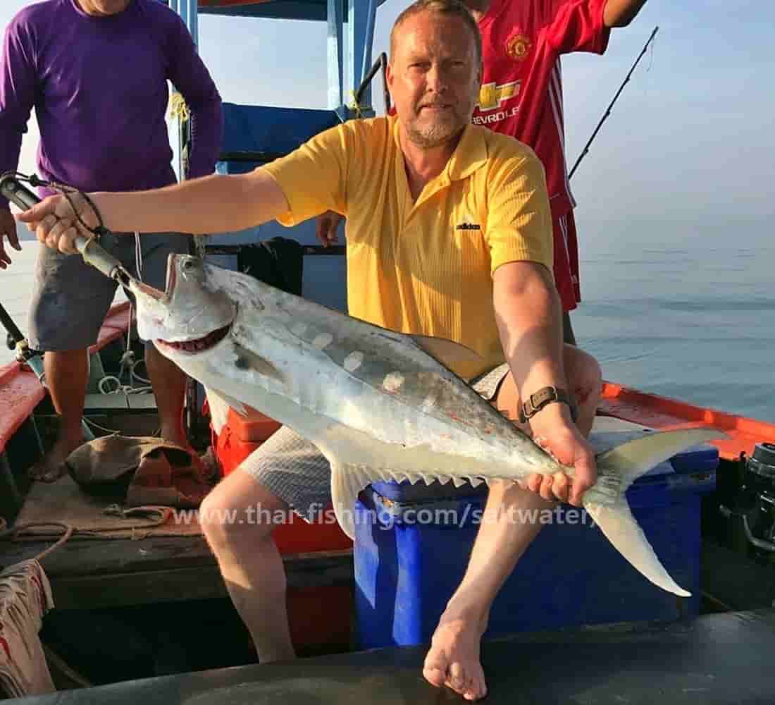 FAD fiskeri Khao Lak Thailand
