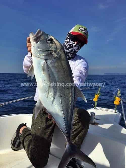 Fiske Khao Lak Thailand