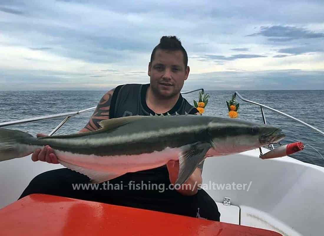 Fiske Khao Lak Thailand