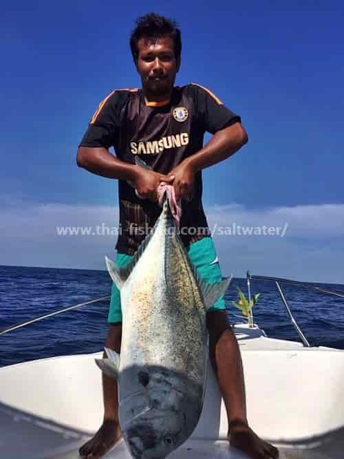 Fiske Similan Islands Thailand
