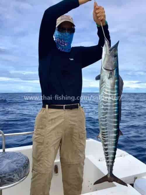 Fiske Similan Islands Thailand