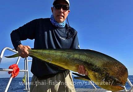 Dorado Fiskeri Khao Lak Thailand - Thai Fishing