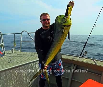 Dorado Fiskeri Thailand og FAD Fiskeri Khao Lak
