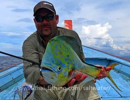 Dorado Fluefiskeri Thailand - FAD Fluefiskeri Khao Lak 