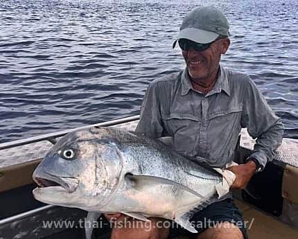 Giant Trevally Fiskeri Similan Islands Thailand