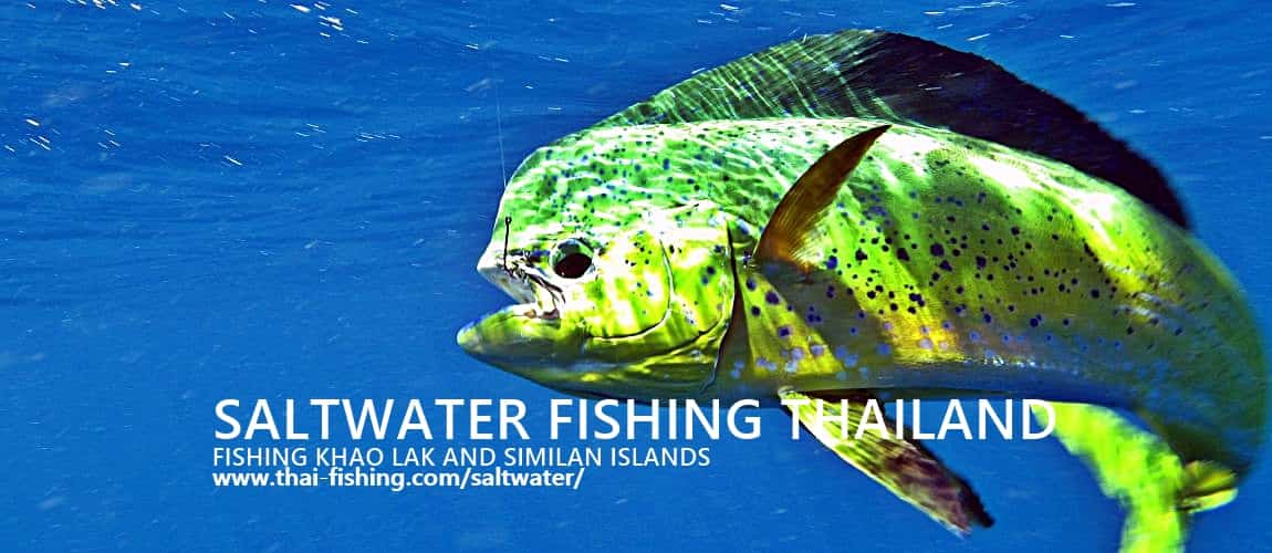 Saltvands Fiskeri Khao Lak Similan Islands Thailand