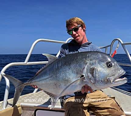 Giant Trevally Fiskeri Similan Islands Thailand - Thai Fishing