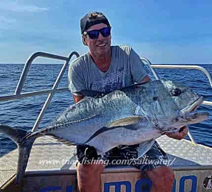 Giant Trevally Popper Fiskeri Thailand
