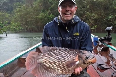 Giant-Gourami Fly Fishing - Jungle Lake Fly Fishing Thailand