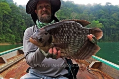 Giant Gourami Fly Fishing - Jungle Lake Fishing Thailand