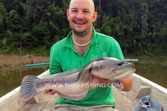Giant Snakehead Fishing - Jungle Lake Fishing Thailand