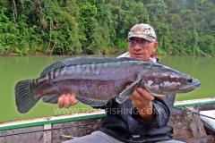 Giant Snakehead Fishing - Jungle Lake Fishing Thailand