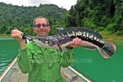 Giant Snakehead Fishing - Jungle Lake Fishing Thailand