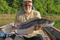 Giant Snakehead Fishing - Jungle Lake Fishing Thailand