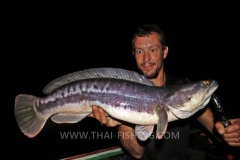 Giant Snakehead Fishing - Jungle Lake Fishing Thailand