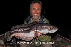 Giant-Snakehead Fishing Thailand - Jungle Lake Fishing