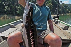 Giant Snakehead Fishing Thailand - Jungle Lake Fishing