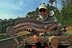 Giant Snakehead Fly-Fishing - Jungle Lake Fly Fishing Thailand