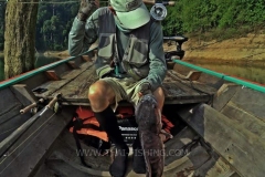 Giant Snakehead on Fly - Jungle Lake Fly Fishing Thailand