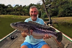 Jungle Lake Fishing Thailand - Giant Snakehead Fishing