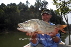 Jungle Lake Fishing Thailand - Hampala Barb Fly Fishing