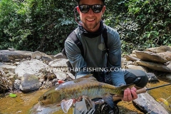 Fly Fishing in Thailand For Mahseer