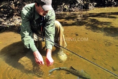 Fly Fishing in Thailand For Mahseer