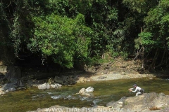 Fly Fishing in Thailand For Mahseer