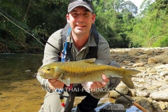 Jungle Mahseer Fly Fishing Thailand
