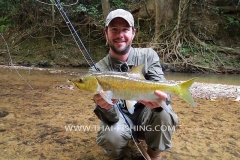 Jungle Mahseer Fly Fishing Thailand