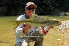 Mahseer Fly Fishing - Jungle Fly Fishing Thailand