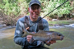 Mahseer Fly Fishing - Jungle Fly Fishing Thailand