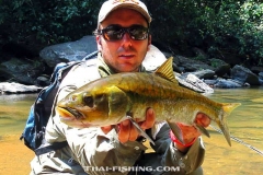 Mahseer Fly Fishing Thailand