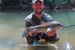 Sight Fishing Mahseer Thailand