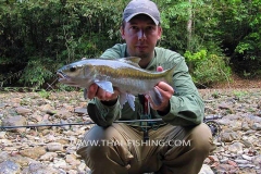 Sight Fishing Mahseer Thailand