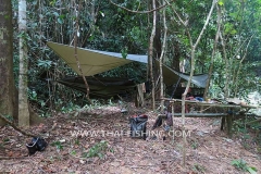 Mahseer Fly Fishing Camping Trips Thailand