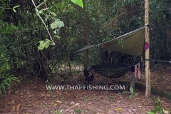 Mahseer Fishing Camping Trips Thailand