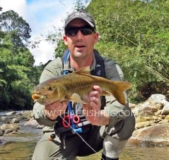 A Thrilling Fly Fishing Adventure in Thailand - Articles and Reviews - Jungle fly and lure fishing - Thai Fishing
