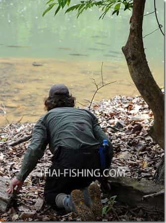 Dry Fly Fishing Thai Mahseer
