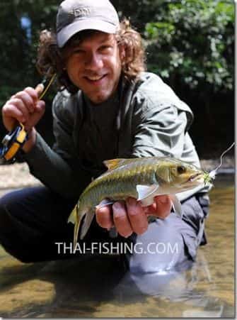 Dry Fly Fishing Thai Mahseer